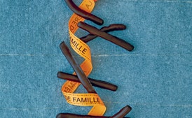 Chocolate-Dipped Orange Peel