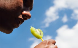 Kiwi Ice Pop