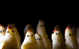 Potato Ghosts