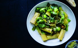 Rigatoni With Brussels Sprouts, Parmesan, Lemon, and Leek